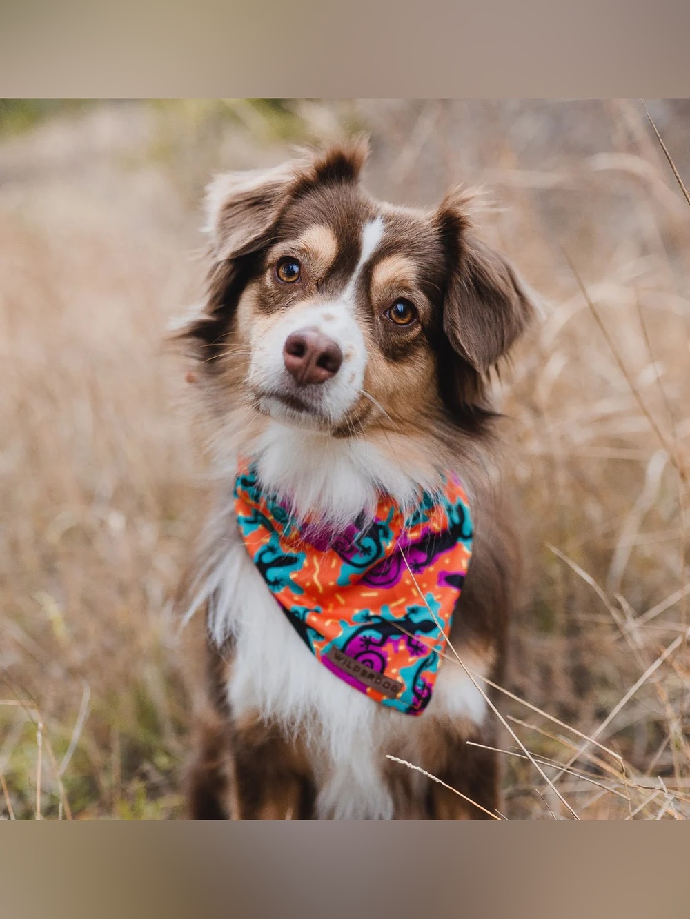 Brand New! Wilderdog Cooling Dog Bandana - Lizards